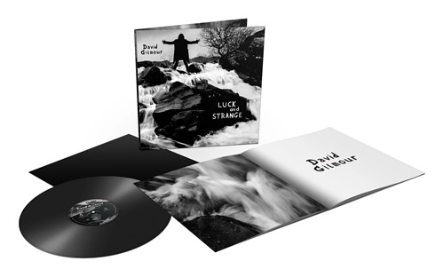 DAVID GILMOUR / デヴィッド・ギルモア / LUCK AND STRANGE: LIMITED VINYL