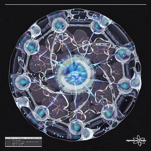 FOREST ON STASYS / LOTUS ISLAND EP