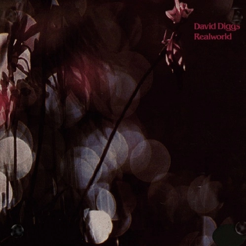 DAVID DIGGS / デヴィッド・ディグス / リアルワールド