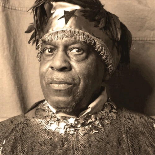 SUN RA (SUN RA ARKESTRA) / サン・ラー / INSIDE THE LIGHT WORLD: SUN RA MEETS THE OVC / インサイド・ザ・ライト・ワールド:サン・ラ・ミーツ・ザ・オー・ブイ・シー(2CD)