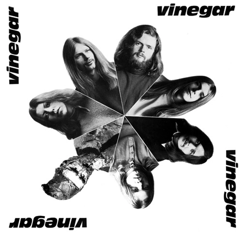VINEGAR / ヴィネガー / VINEGAR: LIMITED VINYL