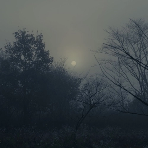 ITOKO TOMA / 当真伊都子 / Beyond the Mountain