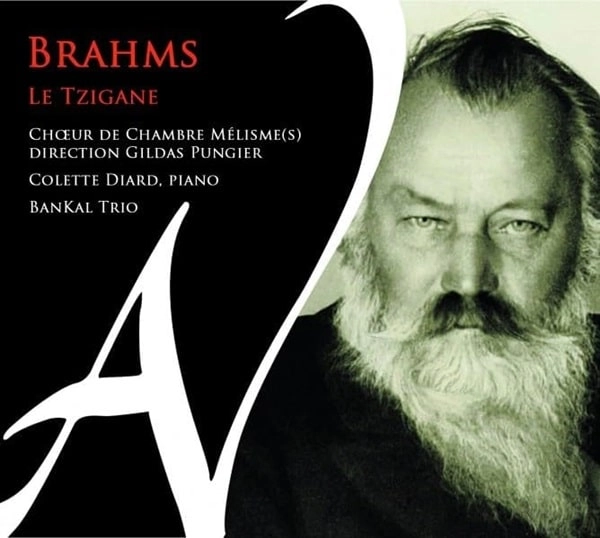 GILDAS PUNGIER / ジルダ・パンジェ / BRAHMS LE TZIGANE