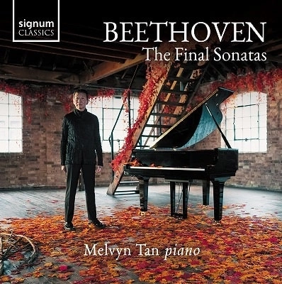 MELVYN TAN / メルヴィン・タン / BEETHOVEN:PIANO SONATA NO.30,31&32