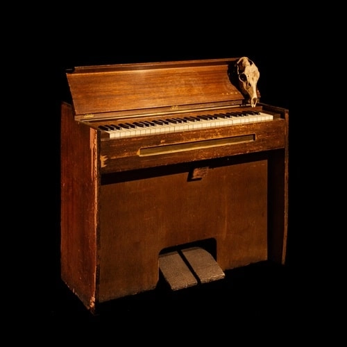 takaramahaya / PLAY VARIATIONS