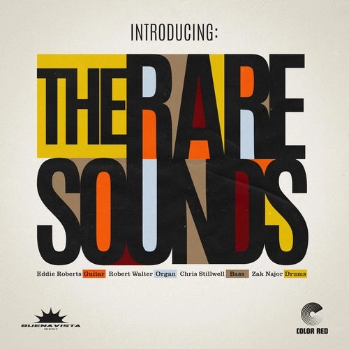 RARE SOUNDS / レア・サウンズ / INTRODUCING: THE RARE SOUNDS