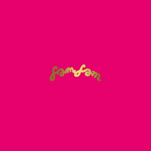 never young beach / fam fam（LP）
