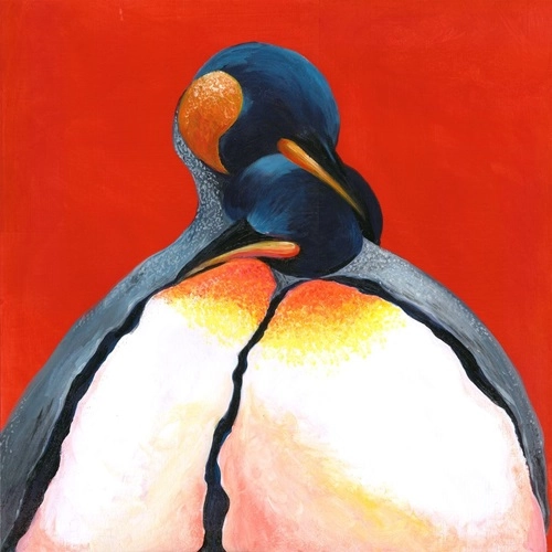 South Penguin / R