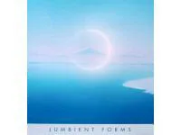 VA / V.A / JUMBIENT FORMS (ARTIFICIAL SOURCES OF TOKYO VOL. 2)
