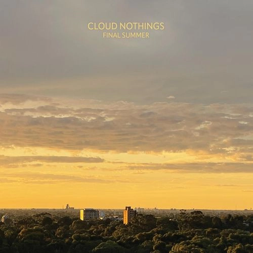 CLOUD NOTHINGS / クラウド・ナッシングス / FINAL SUMMER (MARBLED AMETHYST VINYL)