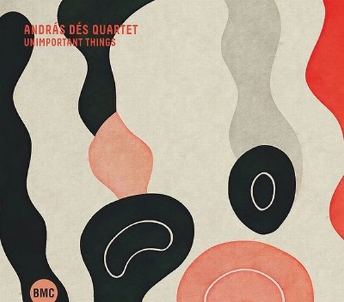 ANDRAS DES / アンドラーシュ・デーシュ / UNIMPORTANT THINGS