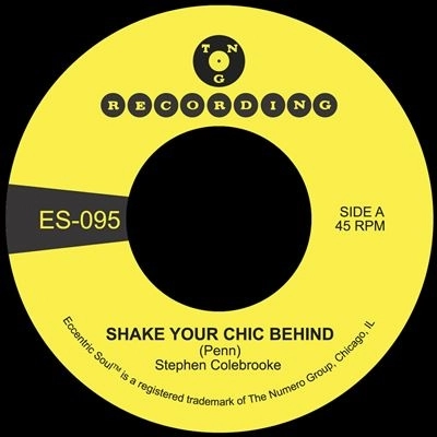 STEPHEN COLEBROOKE / SHAKE YOUR CHIC BEHIND / STAY AWAY FROM MUSIC