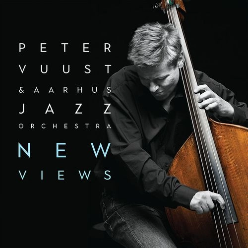 PETER VUUST / ピーター・ブースト / NEW VIEWS