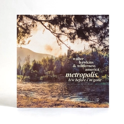 WALTER HAWKINS & WILDERNESS AMERICA / METROPOLIS