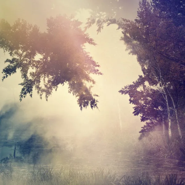 PURL / VIOLANTE (LOST IN A DREAM)