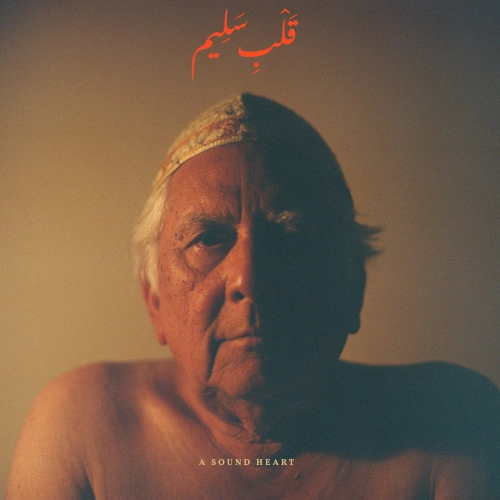 JAUBI / ジャウビ / SOUND HEART (LP)