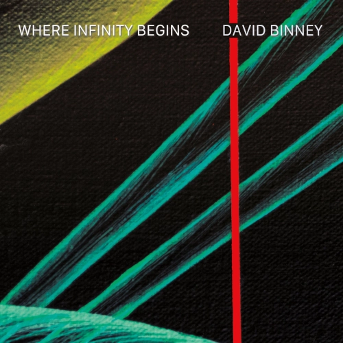 DAVID BINNEY / デヴィッド・ビニー / WHERE INFINITY BEGINS / WHERE INFINITY BEGINS(CD-R)