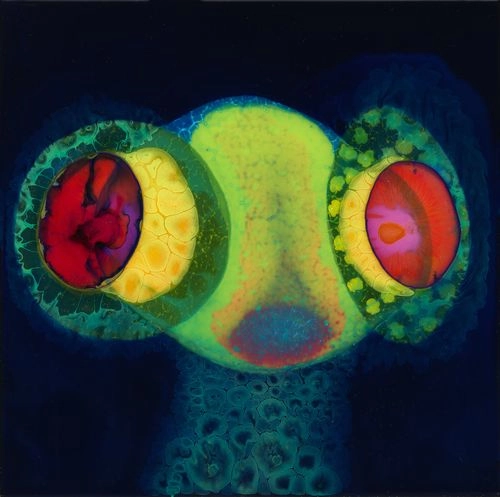 OSEES (THEE OH SEES) / オーシーズ / SORCS 80 (COLOURED LP)