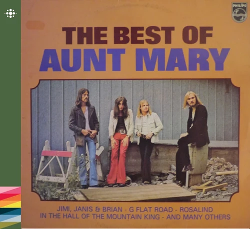 AUNT MARY / アント・マリー / THE BEST OF AUNT MARY VOL. 1