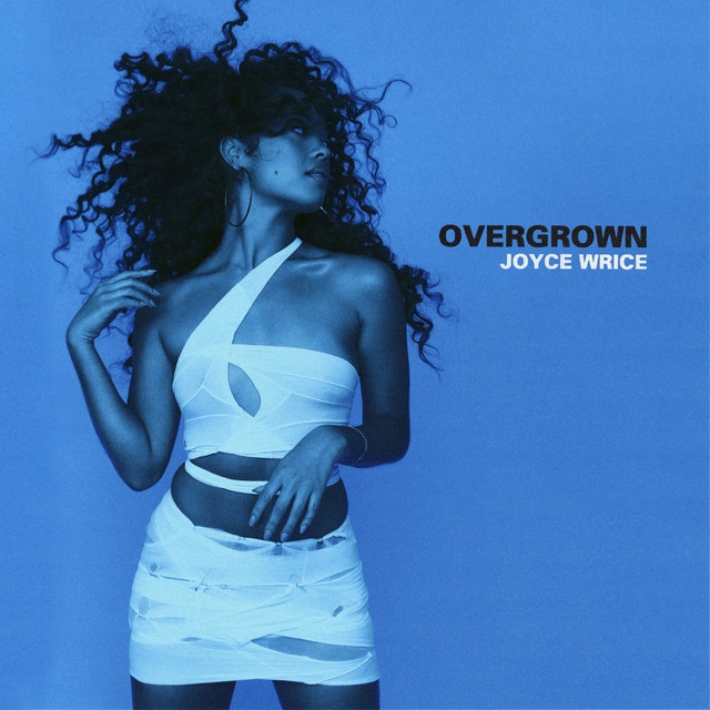 JOYCE WRICE / ジョイス・ライス / OVERGROWN (BLUE & WHITE SPLATTER)