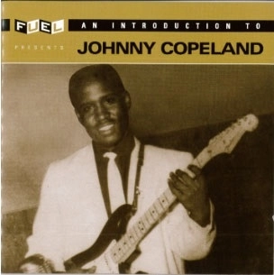 JOHNNY COPELAND / ジョニー・コープランド / アン･イントロダクション･トゥ･ジョニー･コープランド / AN INTRODUCTION TO JOHNNY COPELAND