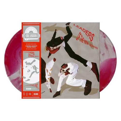 LEADERS OF THE NEW SCHOOL / リーダーズ・オブ・ザ・ニュー・スクール / A FUTURE WITHOUT A PAST (2LP)