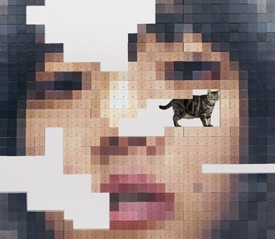AIMYON / あいみょん / 猫にジェラシー（初回限定DVD盤）