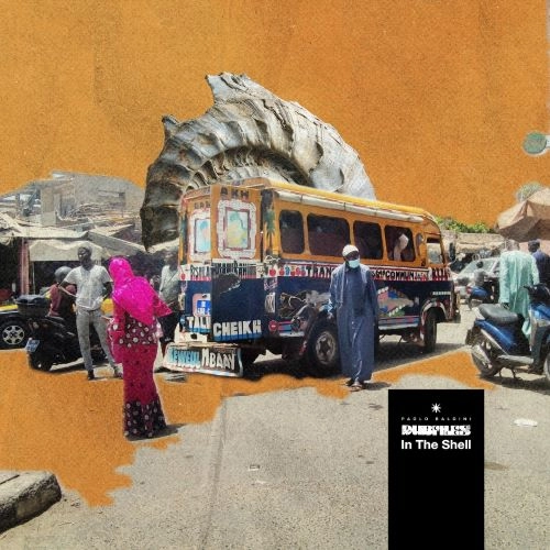 PAOLO BALDINI DUBFILES  / IN THE SHELL