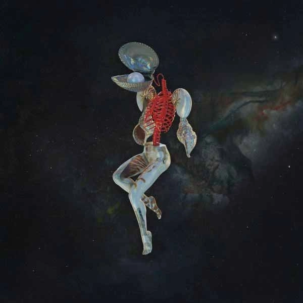 HAIL SPIRIT NOIR / FOSSIL GARDEN<VINYL>