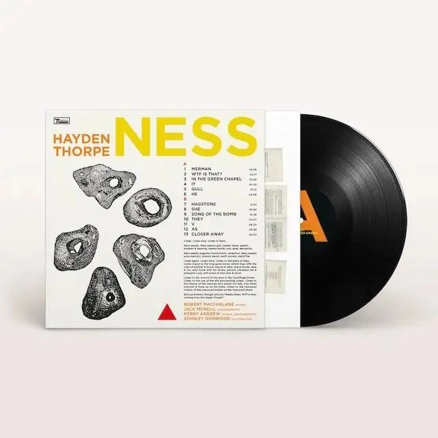 HAYDEN THORPE / NESS (LP)