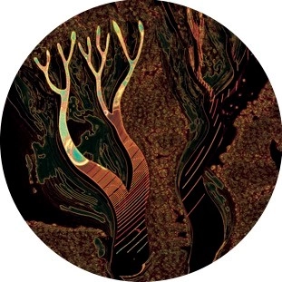 STEEVIO / DOD YN OL AT FY NGHOED VOL.1