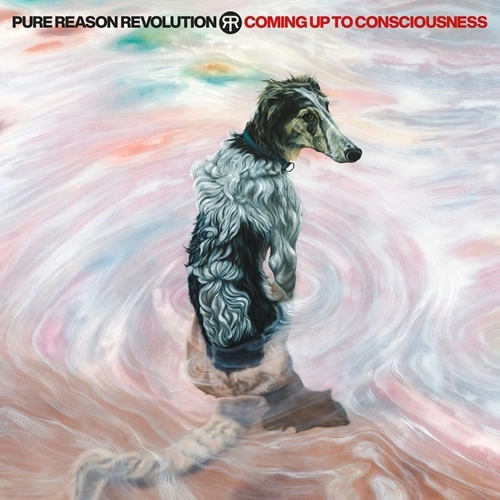 PURE REASON REVOLUTION / ピュア・リーズン・レヴォリューション / COMING UP TO CONSCIOUSNESS