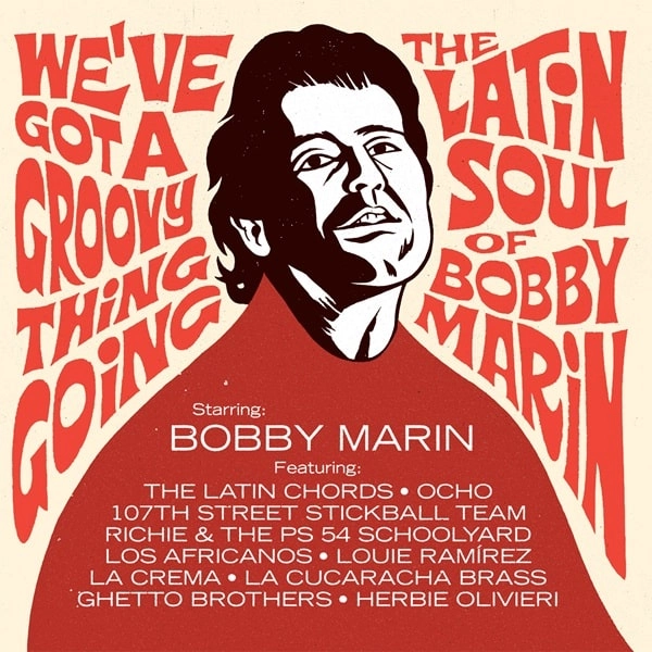 BOBBY MARIN / ボビー・マリン / WE'VE GOT A GROOVY THING GOING: THE LATIN SOUL OF BOBBY MARIN (2LP)