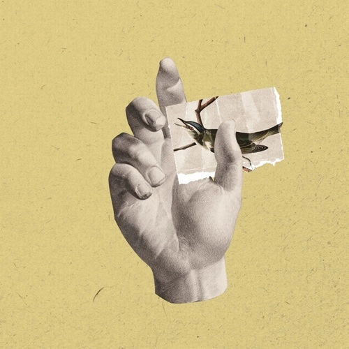 catalina (JPN/PUNK) / Walls,Fragments