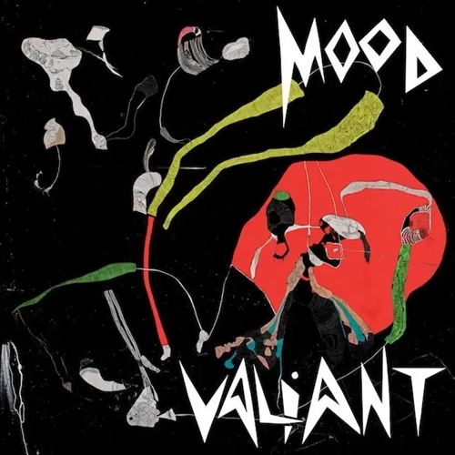 HIATUS KAIYOTE / ハイエイタス・カイヨーテ / MOOD VALIANT国内盤CD（期間限定スペシャル･プライス盤 / ボーナストラック収録、解説･歌詞対訳、抽選応募券封入）