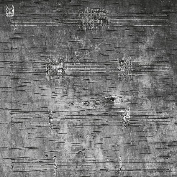 TIMOTHY ARCHAMBAULT / ティモシー・アルシャンボー / ONIMIKIG (LP - BLACK)