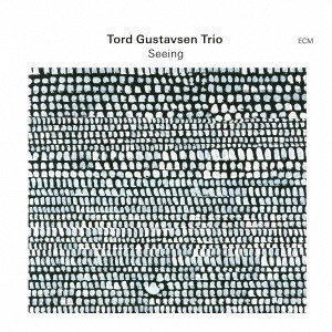 TORD GUSTAVSEN / トルド・グスタフセン / シーイング(SHM-CD) / SEEING