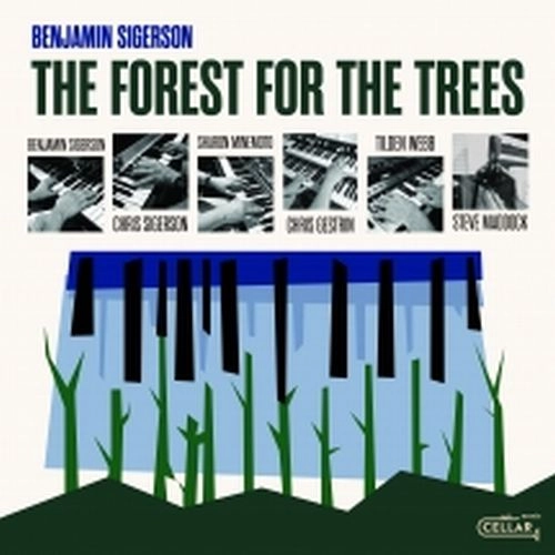 BENJAMIN SIGERSON / FOREST FOR THE TREES