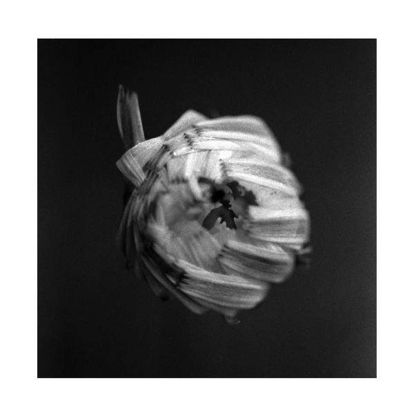 A SWARM OF THE SUN / AN EMPIRE (VINYL)