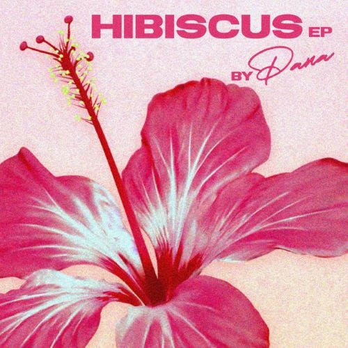PANA / HIBISCUS