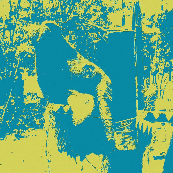VINCENZO DELLA RATTA / ヴィンチェンゾ・デラ・ラッタ / GONGS OF THE BAHNAR: A BUFFALO SACRIFICE CEREMONY
