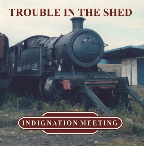INDIGNATION MEETING / TROUBLE IN THE SHED (LP)