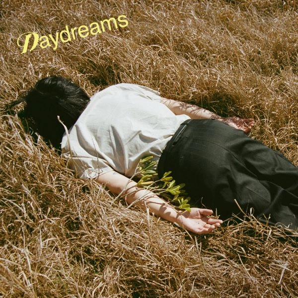 Michael Kaneko / Daydreams（LP）
