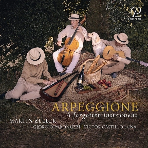 MARTIN ZELLER / マーティン・ツェラー / SCHUBERT:ARPEGGIONE SONATA - A FORGOTTEN INSTRUMENT