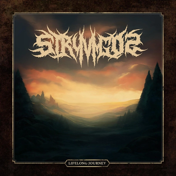 STRYVIGOR / LIFELONG JOURNEY