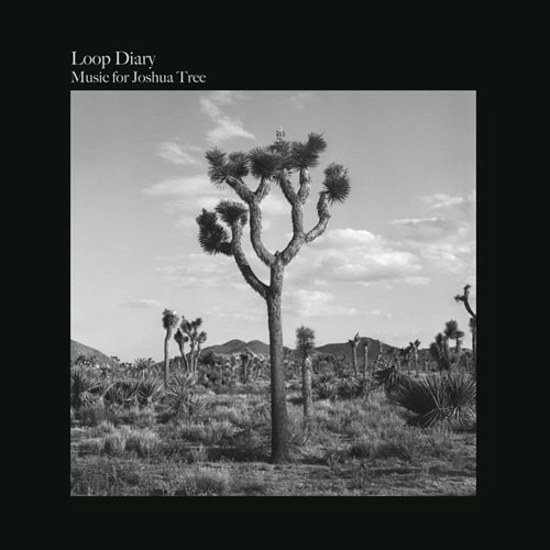 LOOP DIARY / Music for Joshua Tree