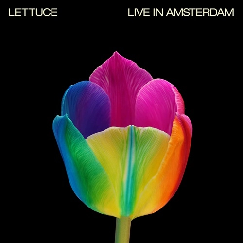 LETTUCE / レタス / LIVE IN AMSTERDAM