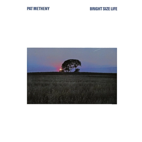 PAT METHENY / パット・メセニー / BRIGHT SIZE LIFE