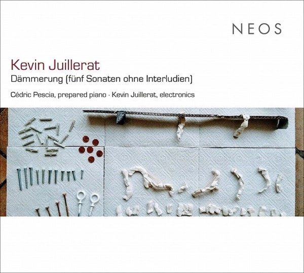 CEDRIC PESCIA / セドリック・ペシャ / KEVIN JUILLERAT:DAMMERUNG