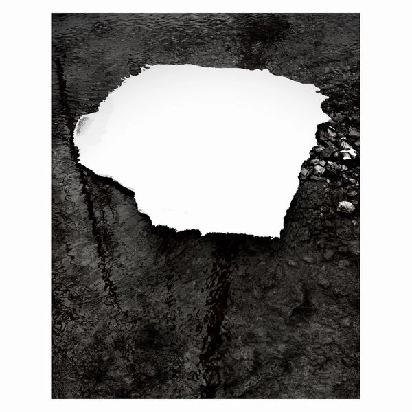 ZELIENOPLE / EVERYTHING IS SIMPLE